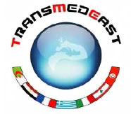 TransMedEast